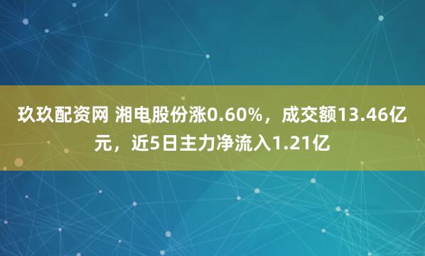 玖玖配资网 湘电股份涨0.60%，成交额13.46亿元，近5日主力净流入1.21亿