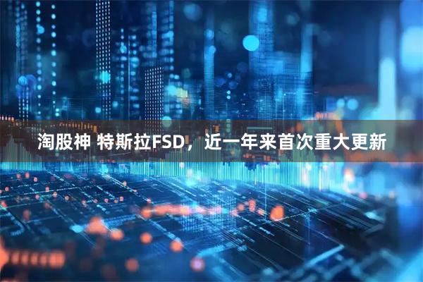 淘股神 特斯拉FSD，近一年来首次重大更新